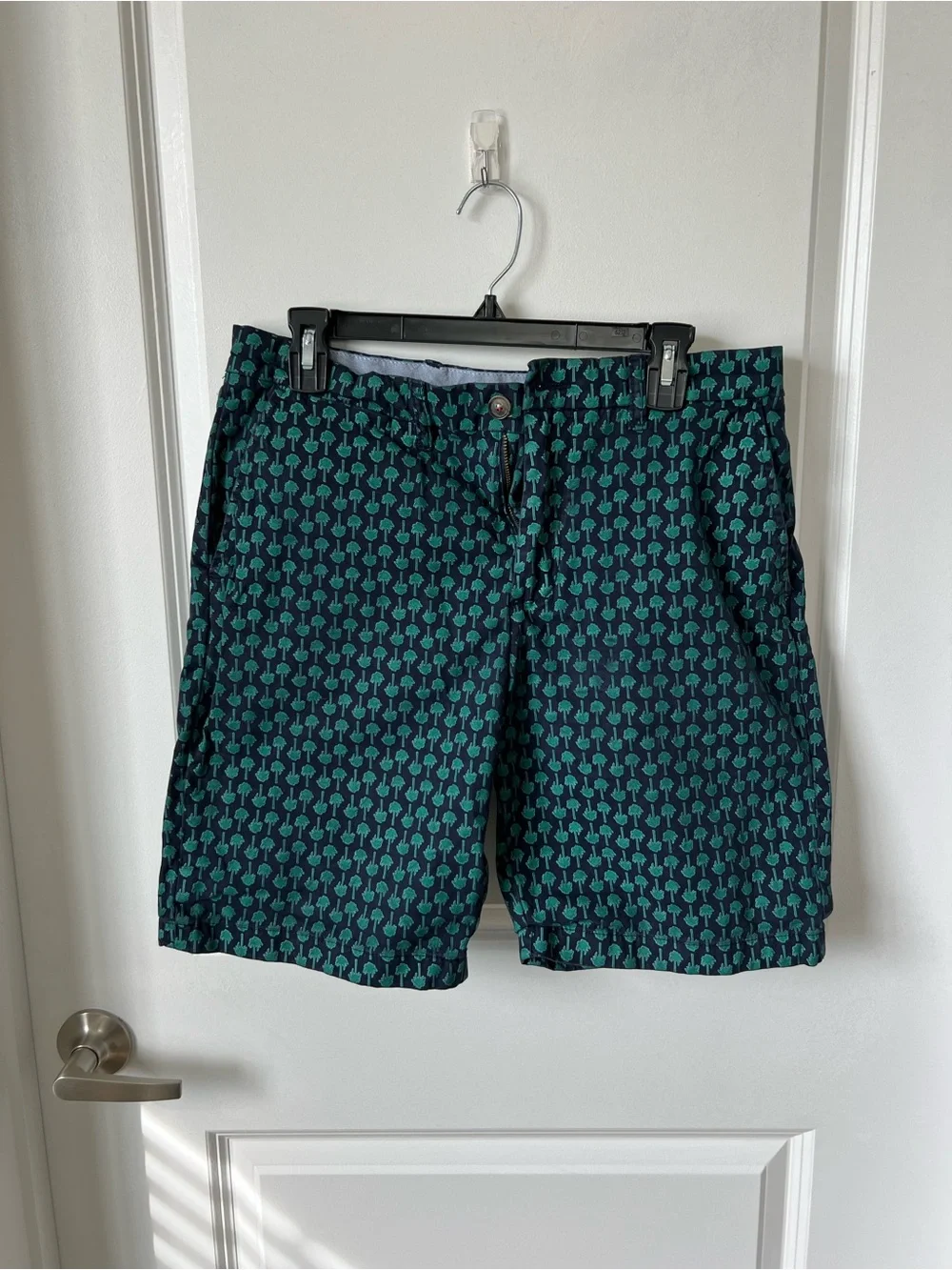 Tommy Hilfiger Navy, Light Blue & Red Trim Men's Shorts